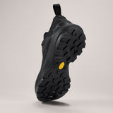 Arc'teryx Men's Vertex Alpine GTX Black/Black