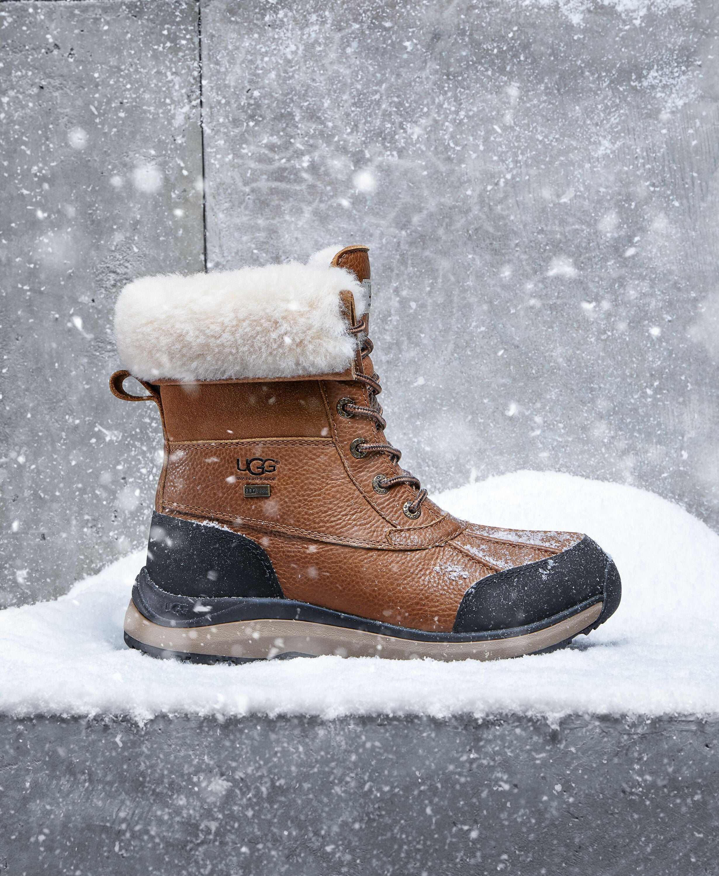UGG Men