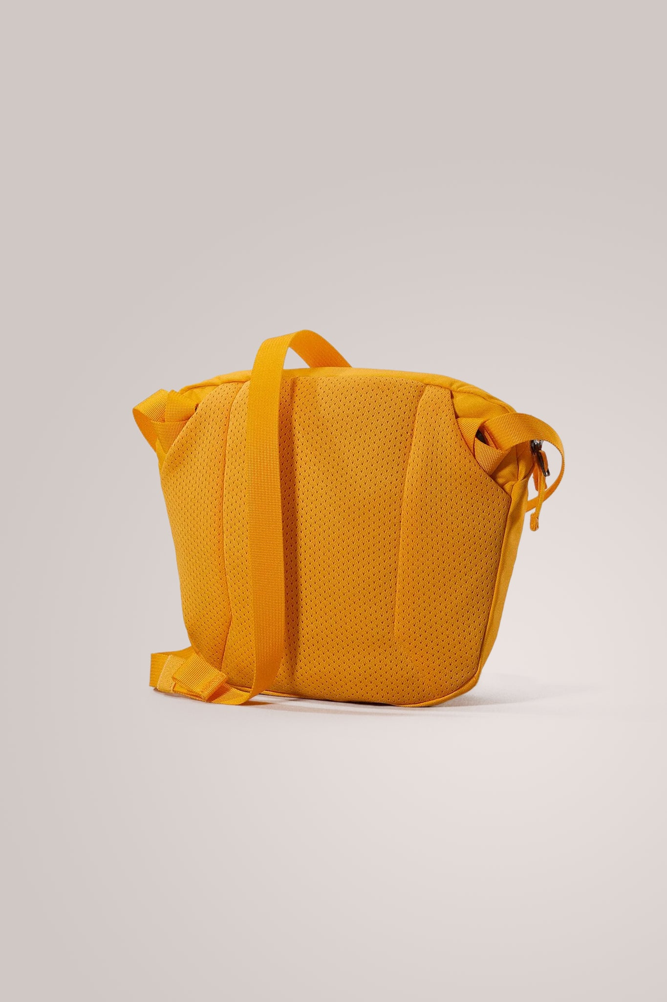 Arc'teryx Mantis 2 Waistpack in Edziza