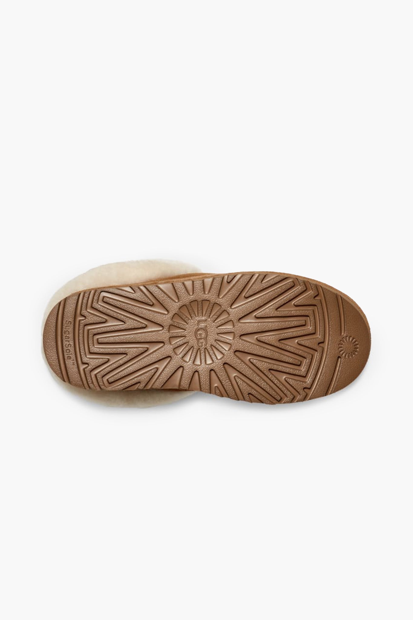 UGG Women's Tazzlita in Chestnut