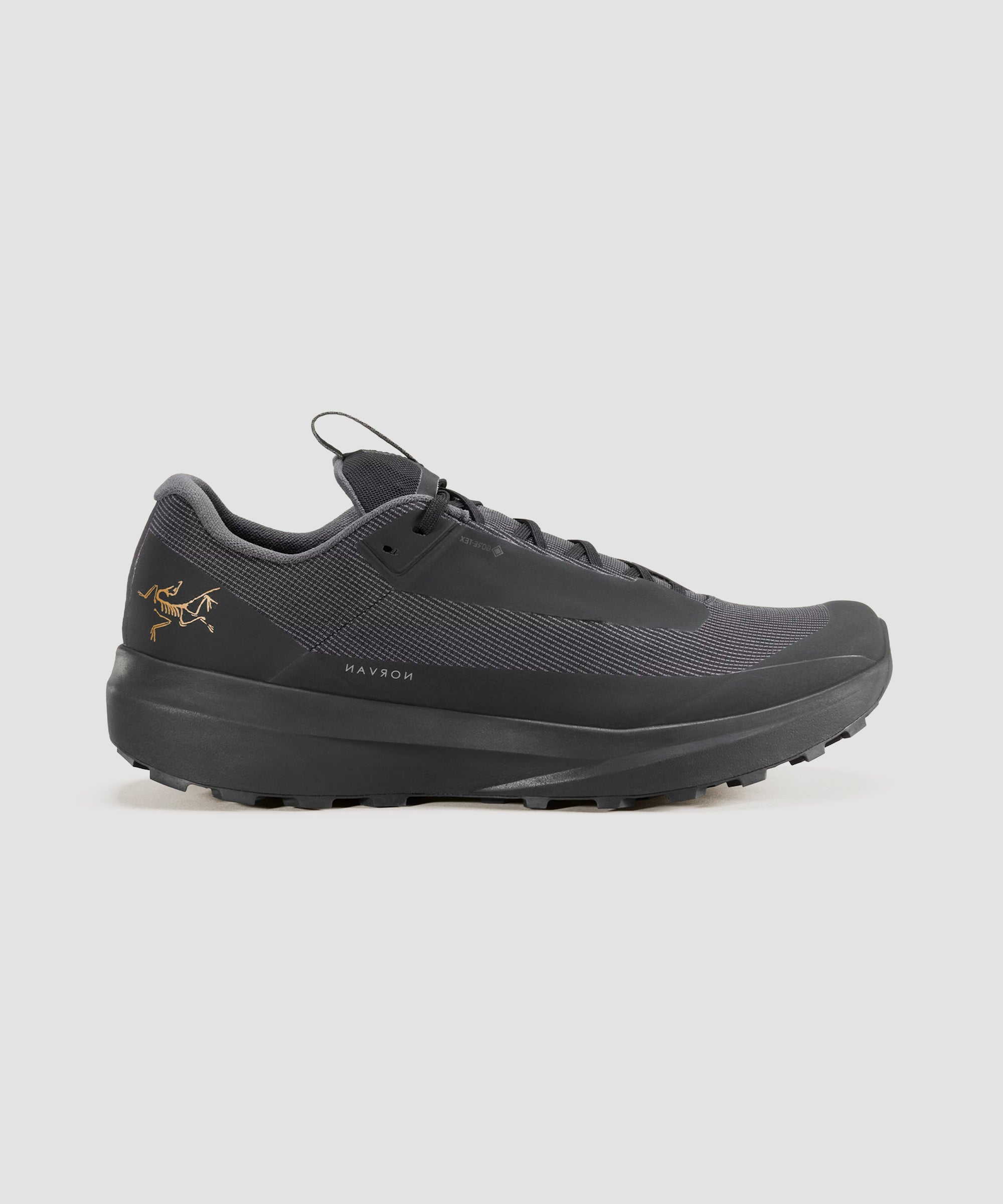 Arc'teryx Men's Norvan LD 4 GTX – Black/Black