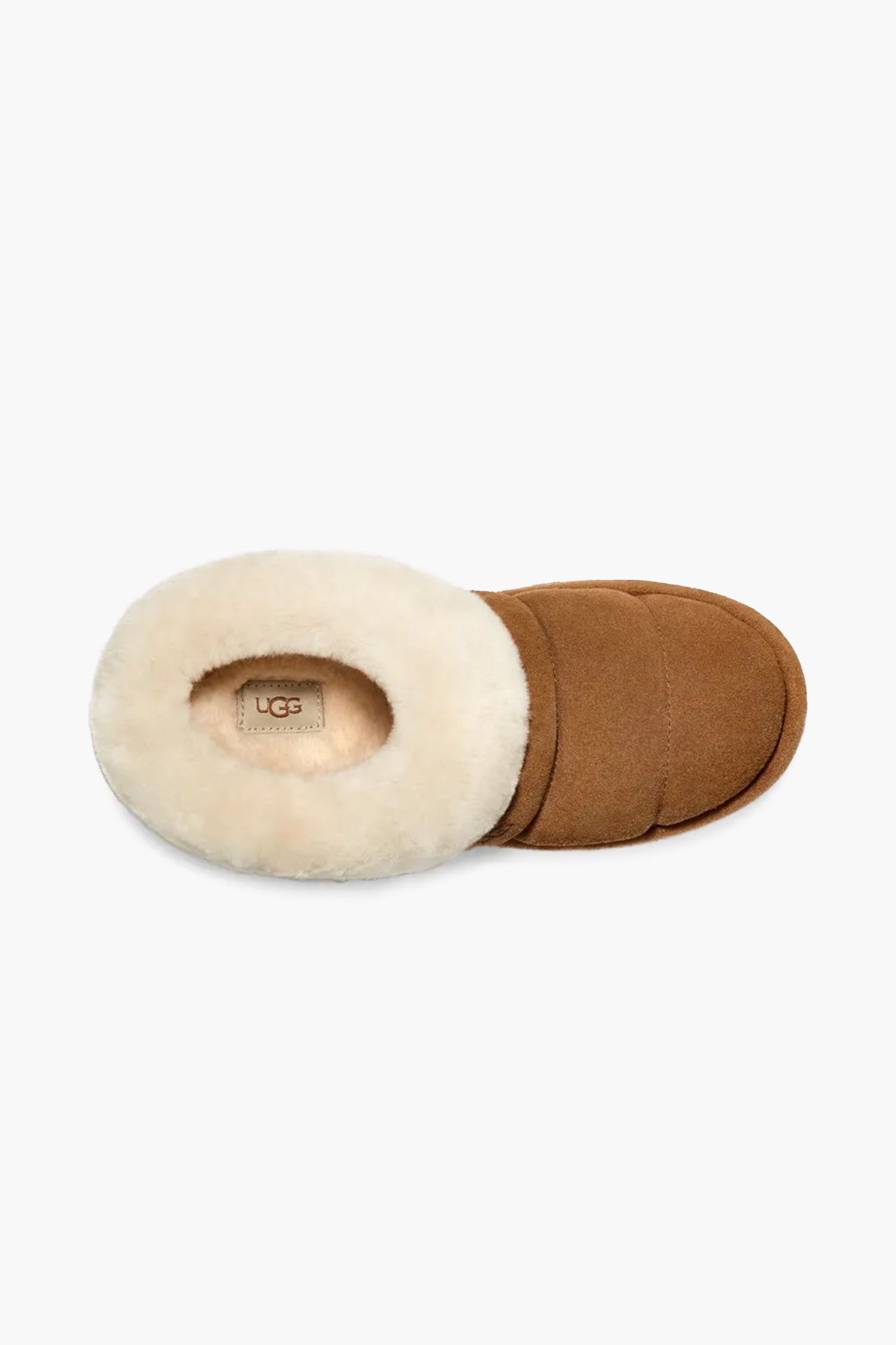 UGG Women's Tazzlita in Chestnut