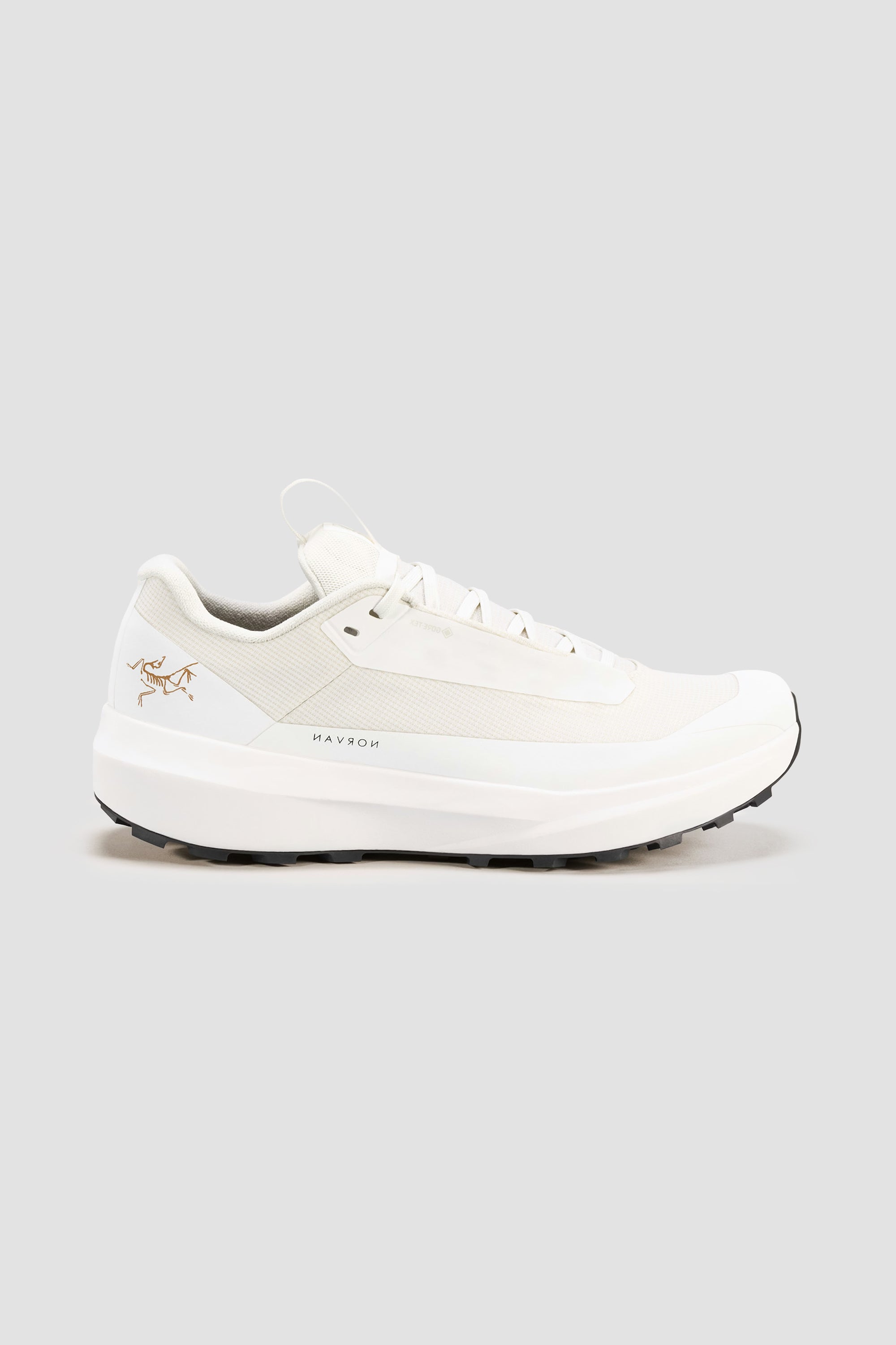 Arc'teryx Women's Norvan LD 4 GTX