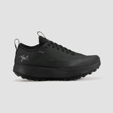 Arc'teryx Women's Sylan GTX
