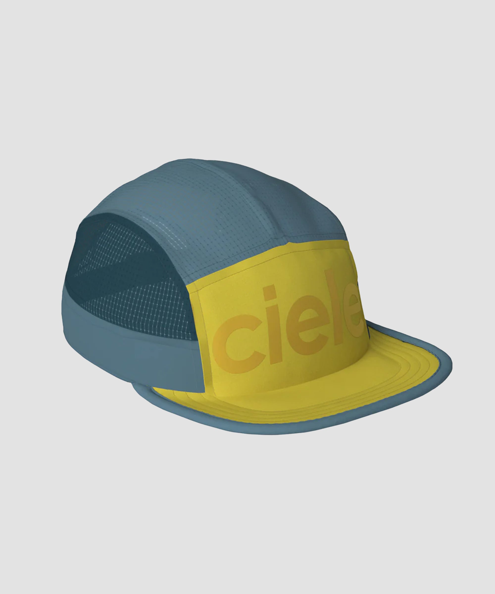 Slide image