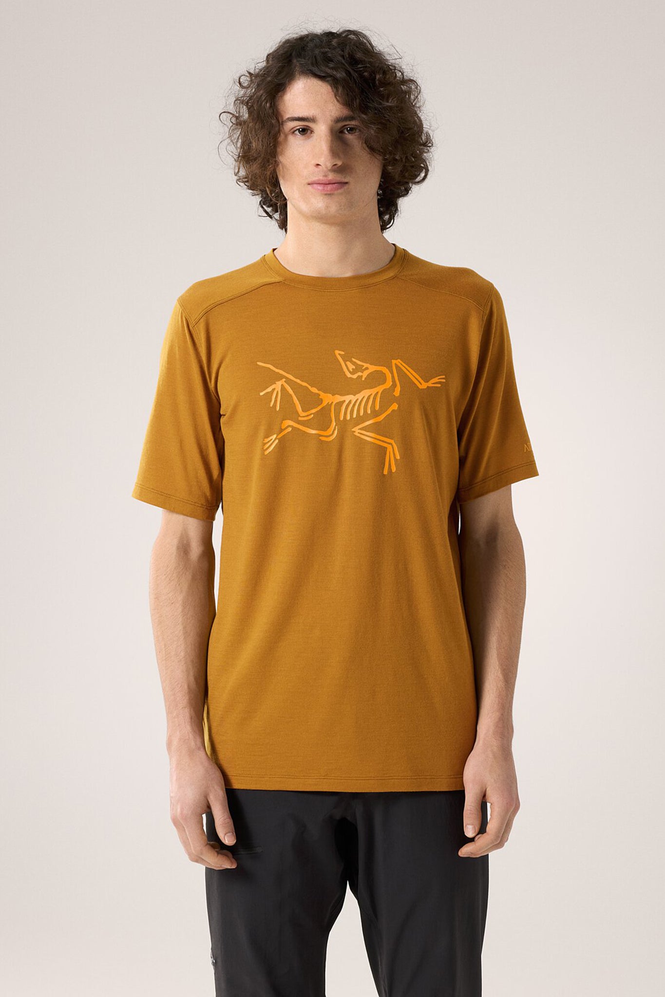 Arc'teryx Men's Ionia Merino Wool Logo SS T-Shirt in Yukon