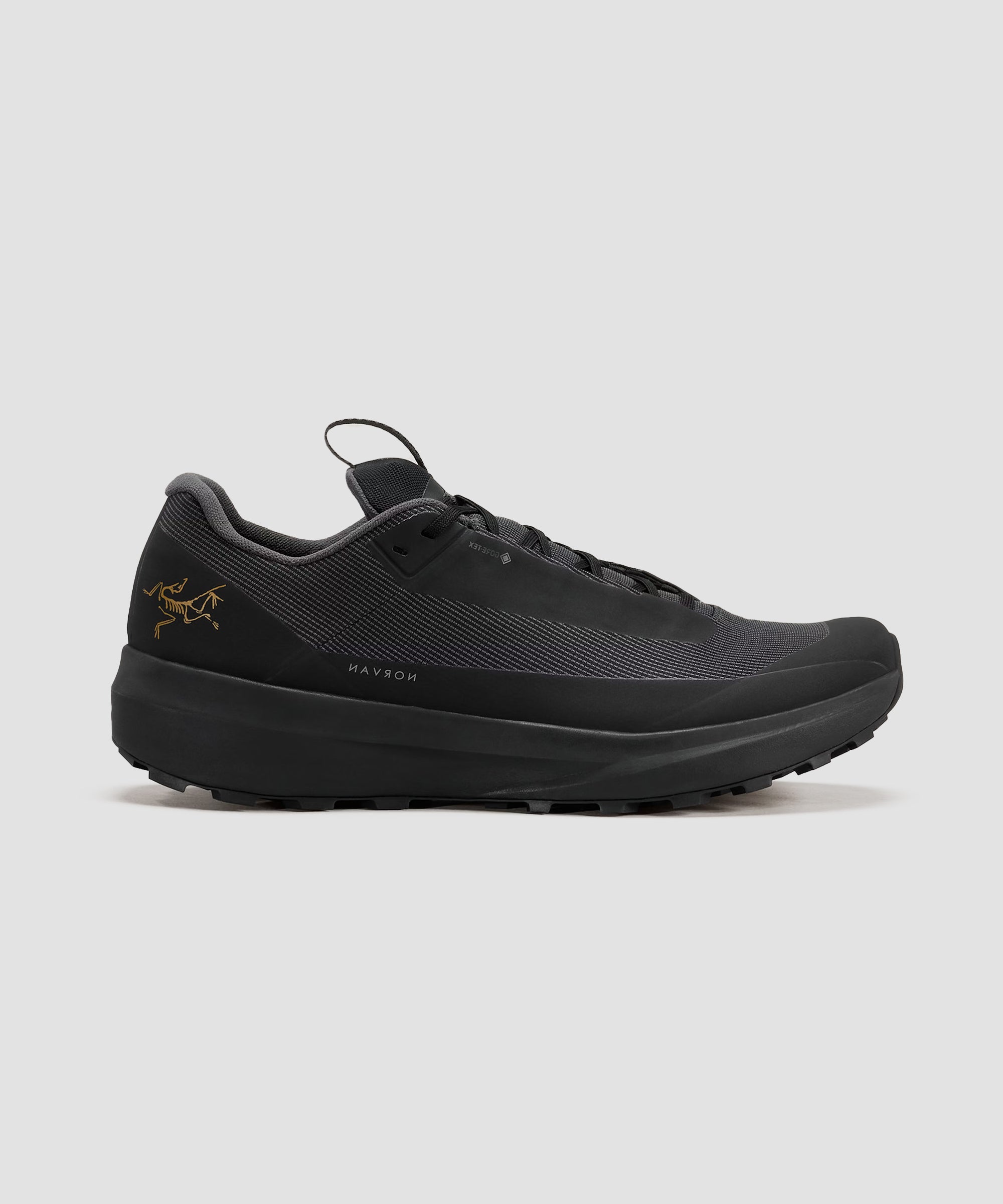 Arc'teryx Women's Norvan LD 4 GTX – Black/Black