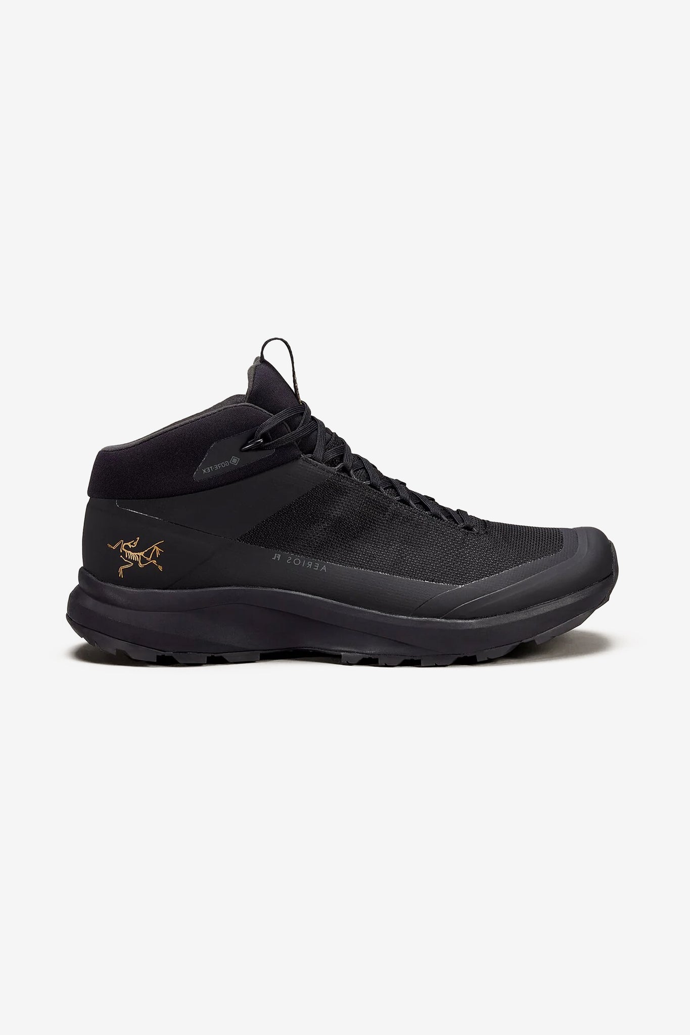 Arc'teryx Men's Aerios FL 2 Mid GTX Shoe in Black/Black