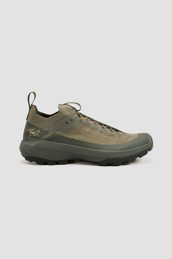 Arc'teryx Men's Vertex Alpine GTX Tatsu/Anecdote