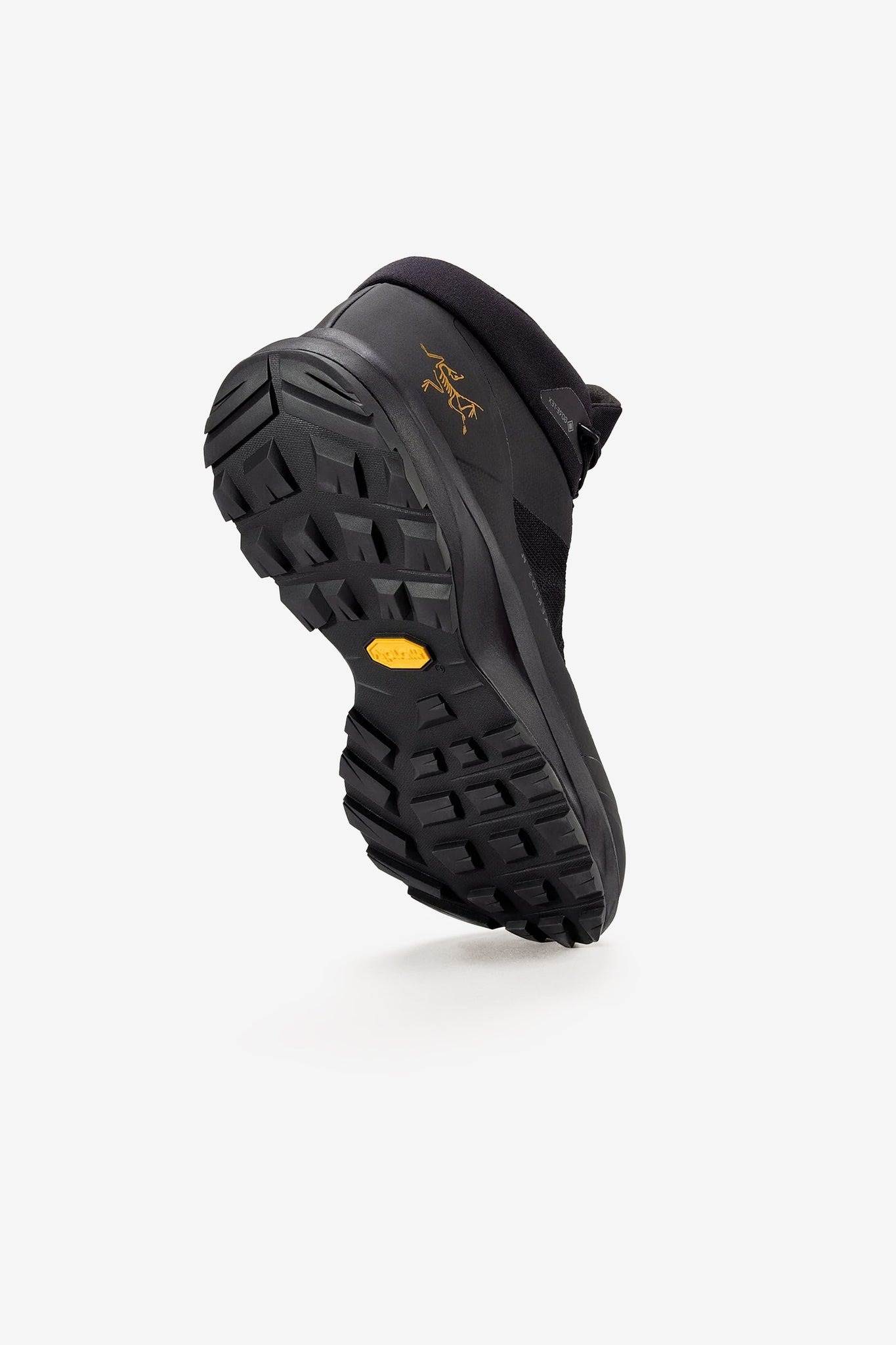 Arc'teryx Men's Aerios FL 2 Mid GTX Shoe in Black/Black
