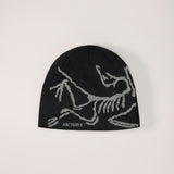 Tuque à tête d'oiseau Arc'teryx