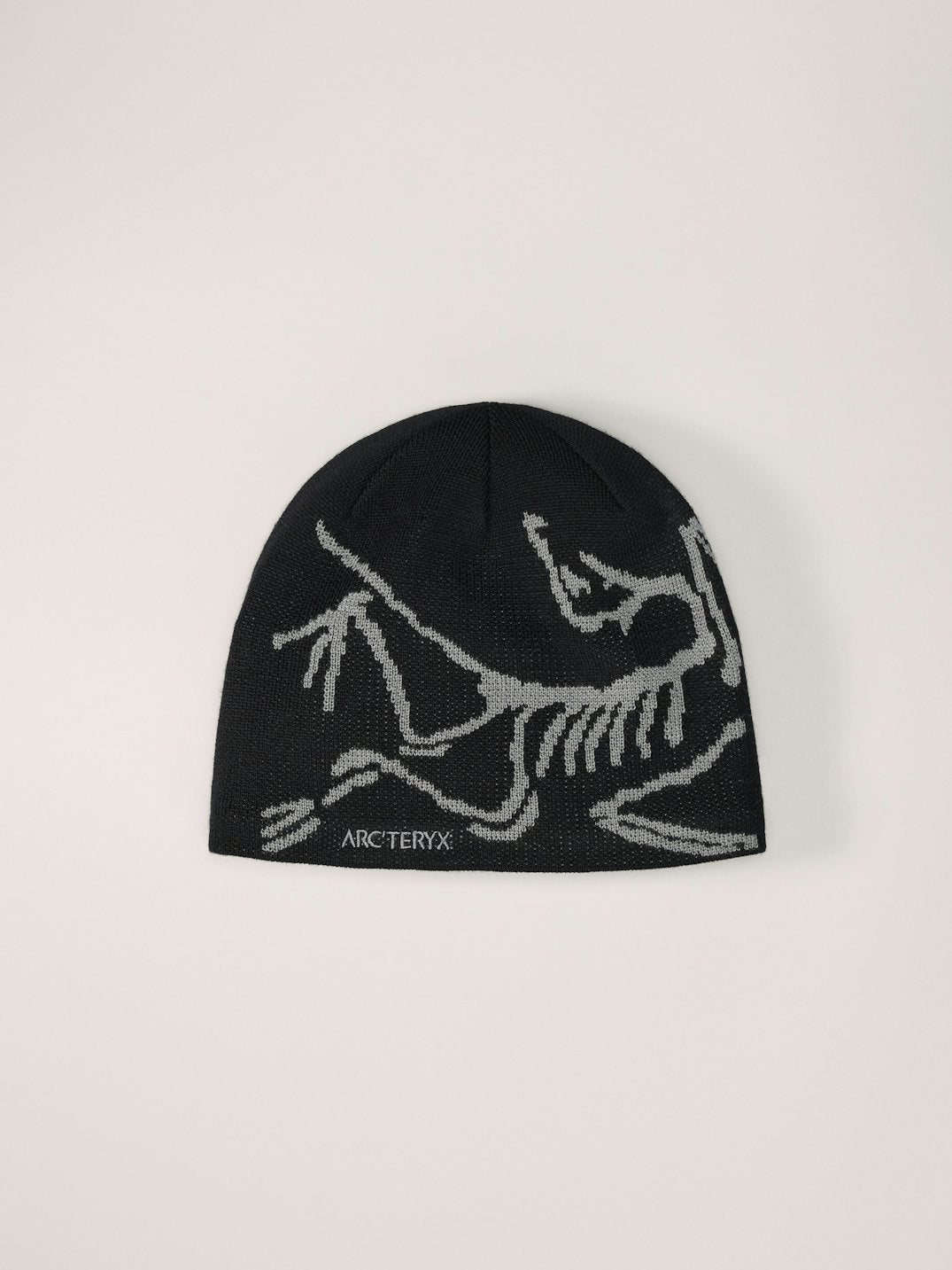 Tuque à tête d'oiseau Arc'teryx