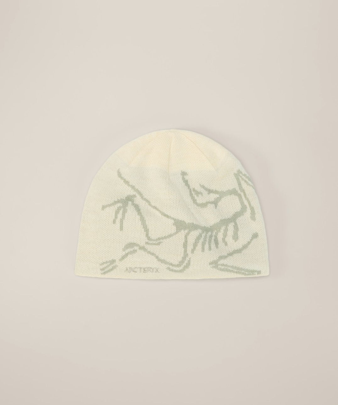 Tuque à tête d'oiseau Arc'teryx