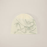 Tuque à tête d'oiseau Arc'teryx