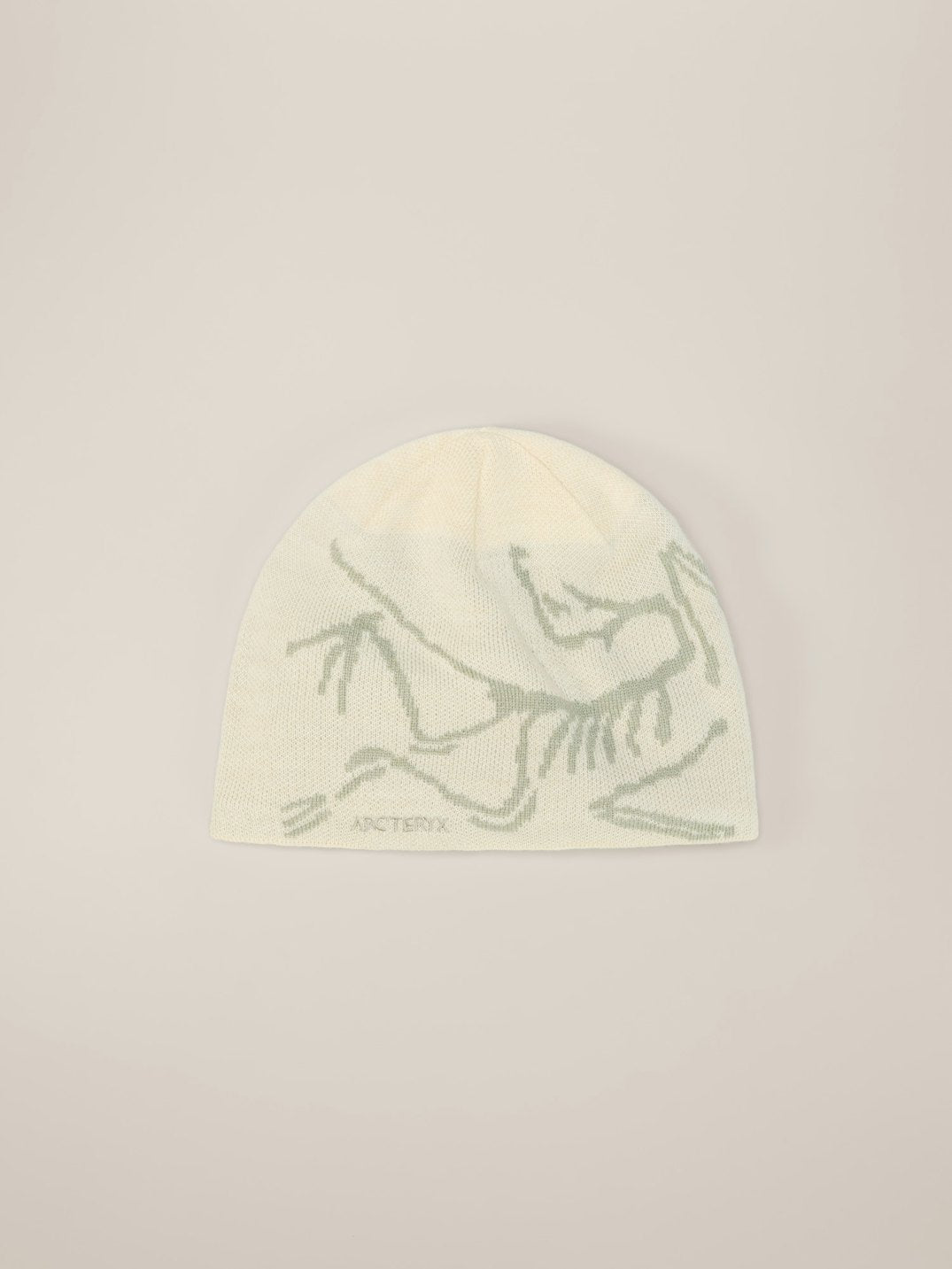 Tuque à tête d'oiseau Arc'teryx