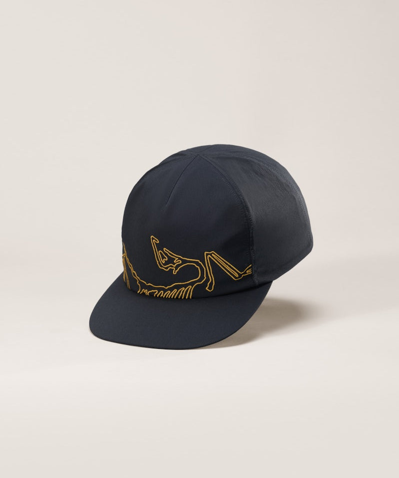 Arc'teryx Silex Cap