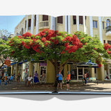 The Classics Collection Tel Aviv Spirit