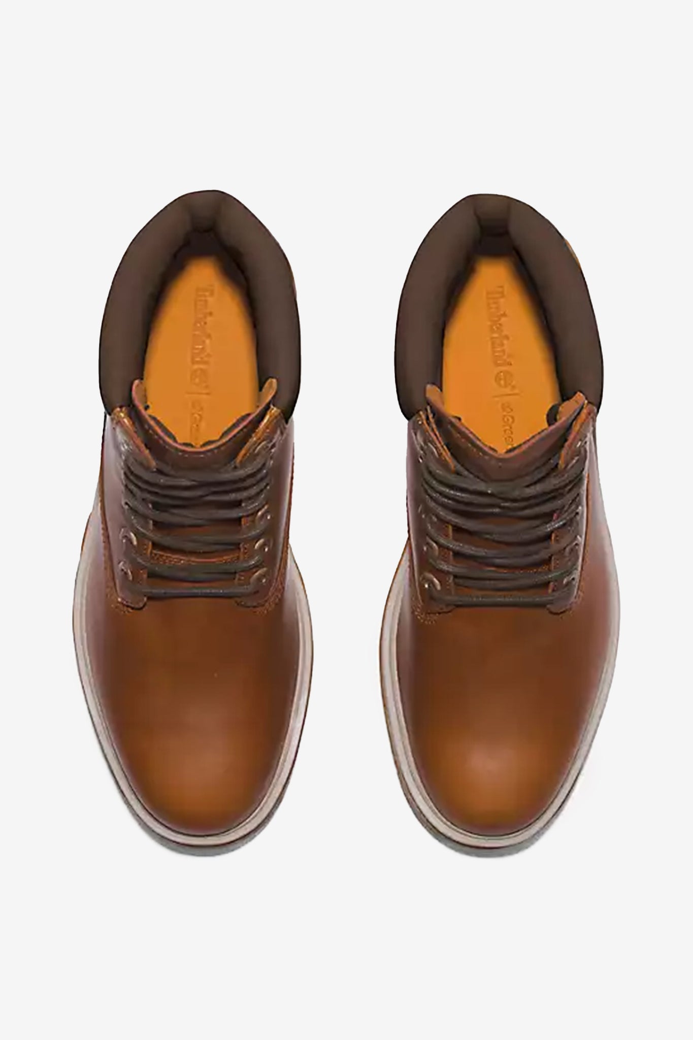 Timberland Men’s Arbor Road 6 Inch Waterproof Boot in Medium Brown Full-Grain
