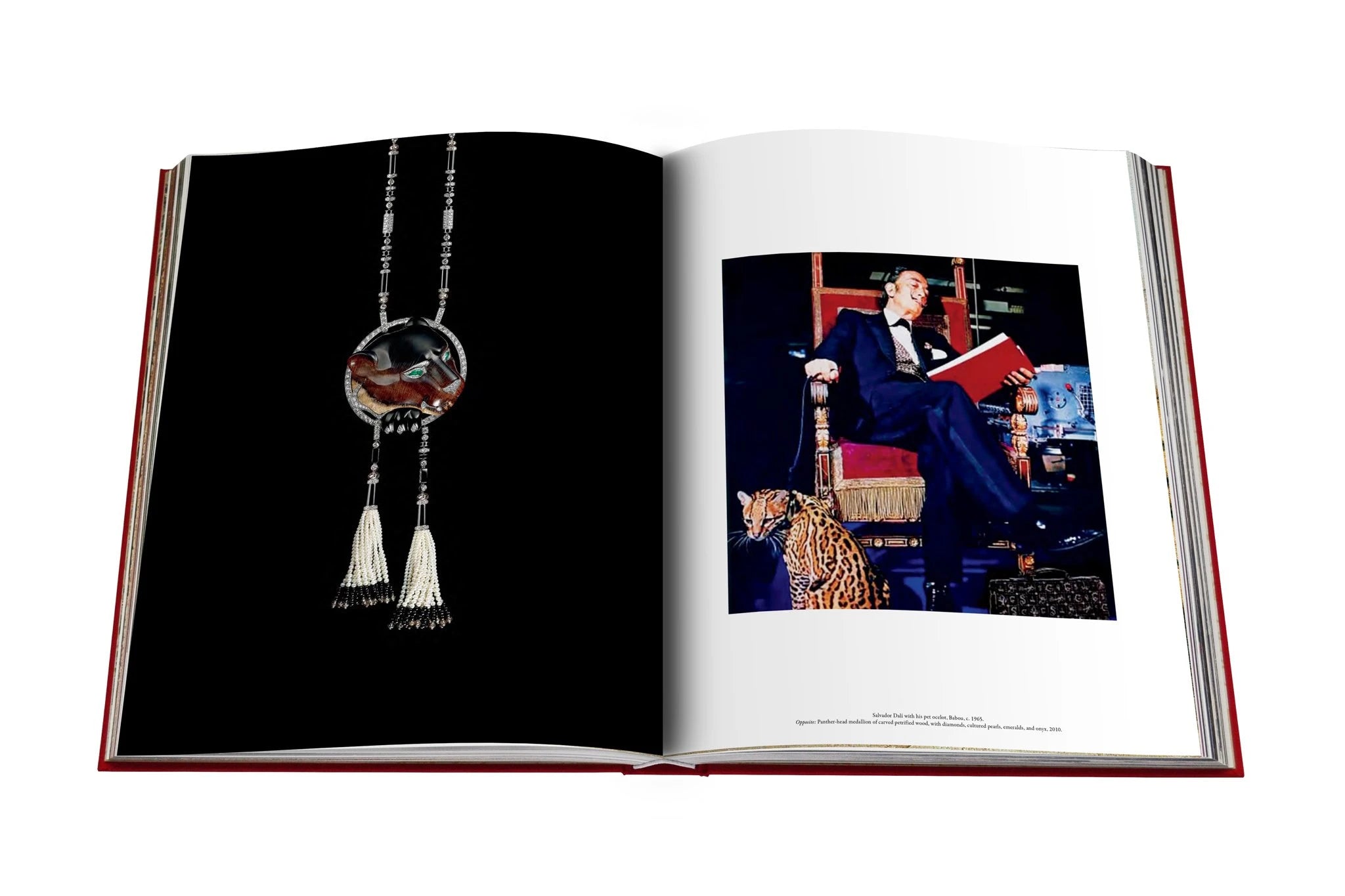 ASSOULINE Cartier Panthère Book by Bérénice Geoffroy-Schneite