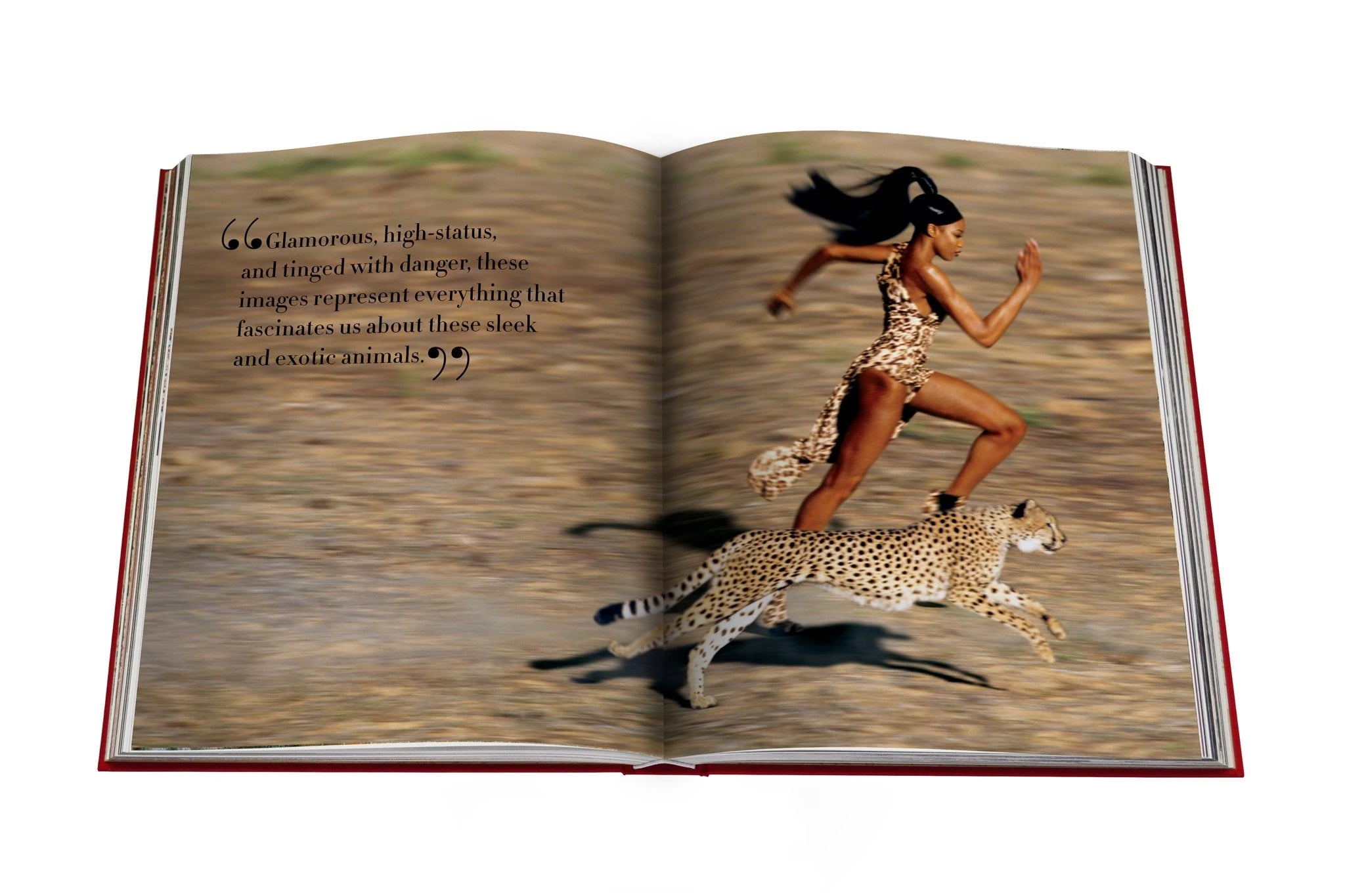 ASSOULINE Cartier Panthère Book by Bérénice Geoffroy-Schneite