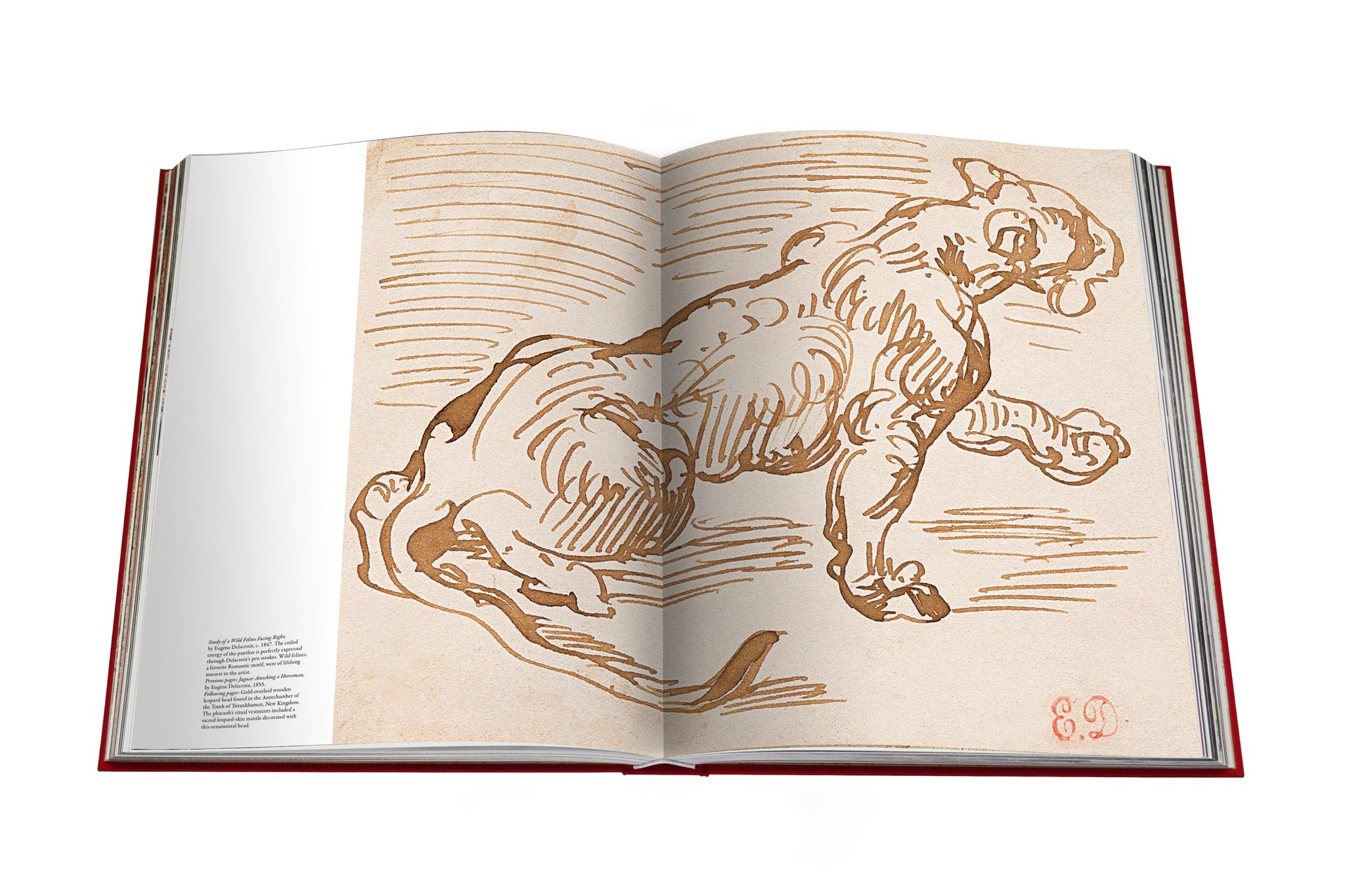 ASSOULINE Cartier Panthère Book by Bérénice Geoffroy-Schneite