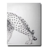 ASSOULINE Cartier Panthère Livre de Bérénice Geoffroy-Schneite