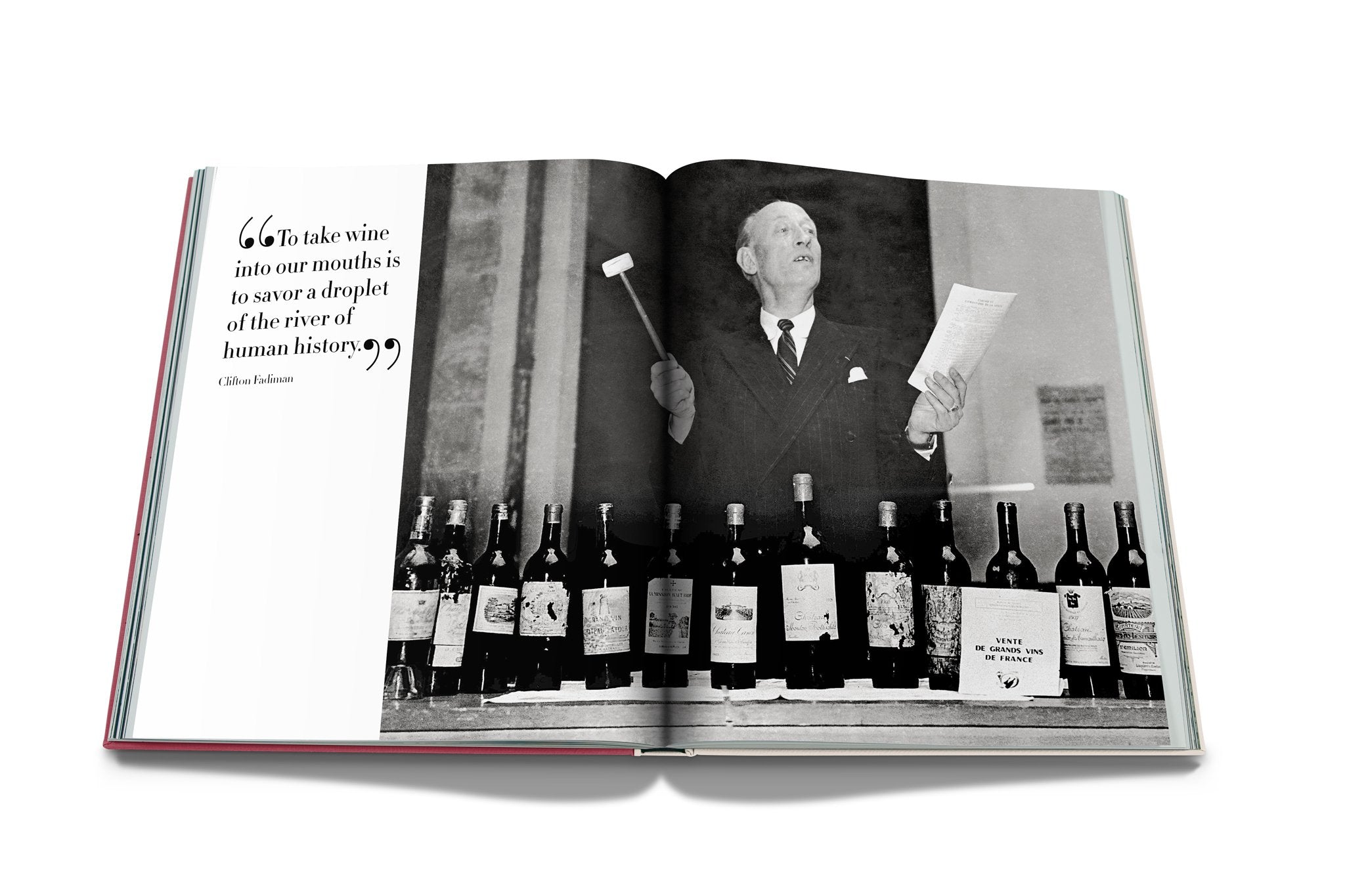 ASSOULINE The Impossible Collection of Wine By Enrico Bernardo
