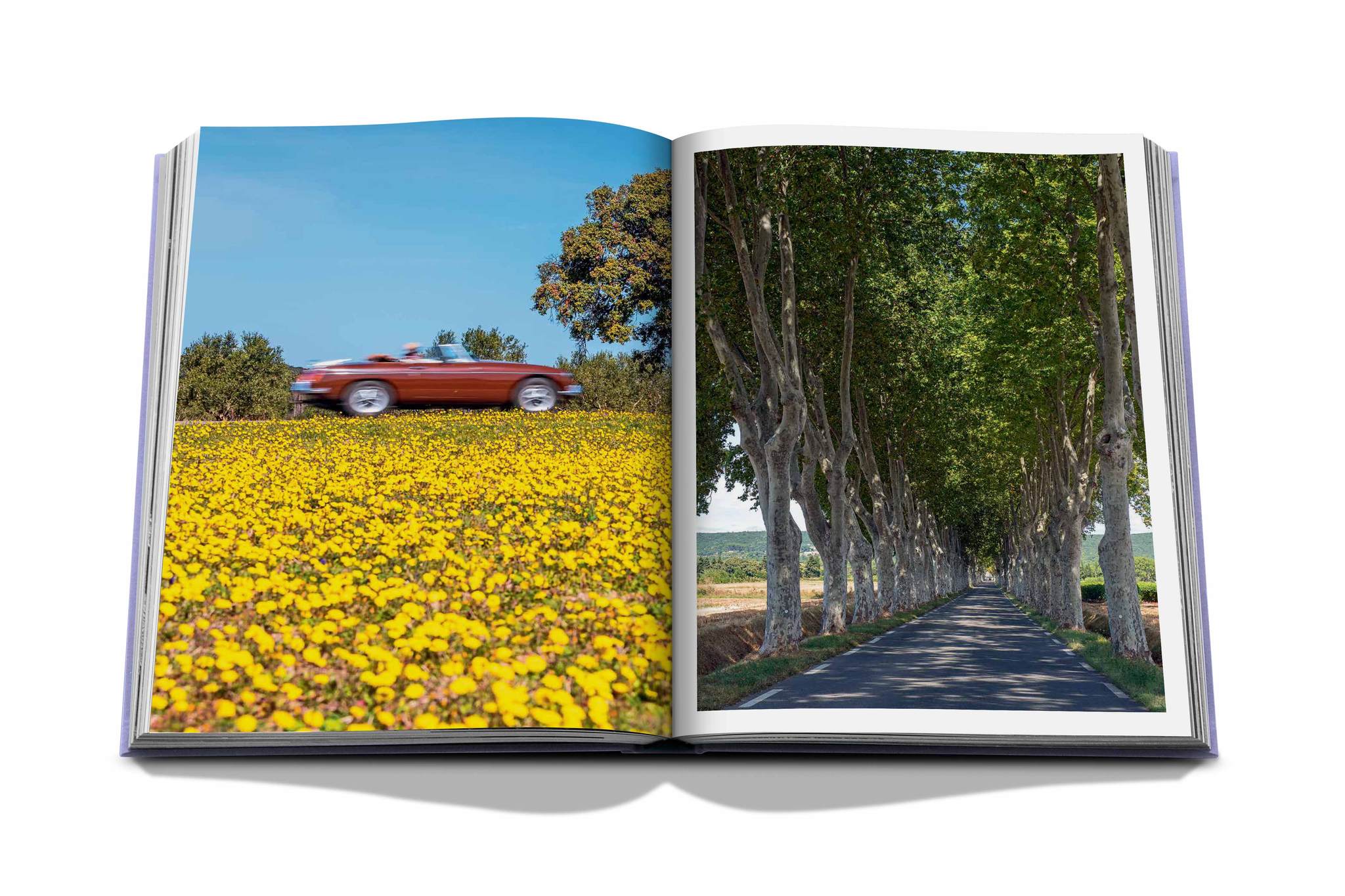 ASSOULINE Provence Glory Hardcover Book by François Simon