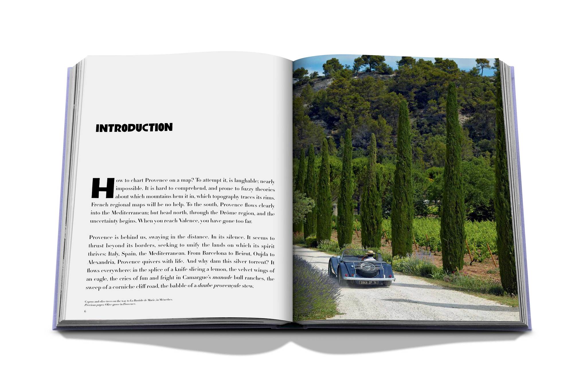 ASSOULINE Provence Glory Hardcover Book by François Simon