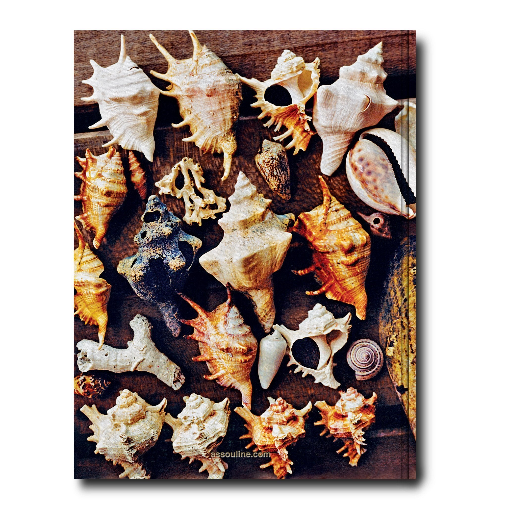 ASSOULINE Zanzibar Hardcover Book by Aline Coquelle